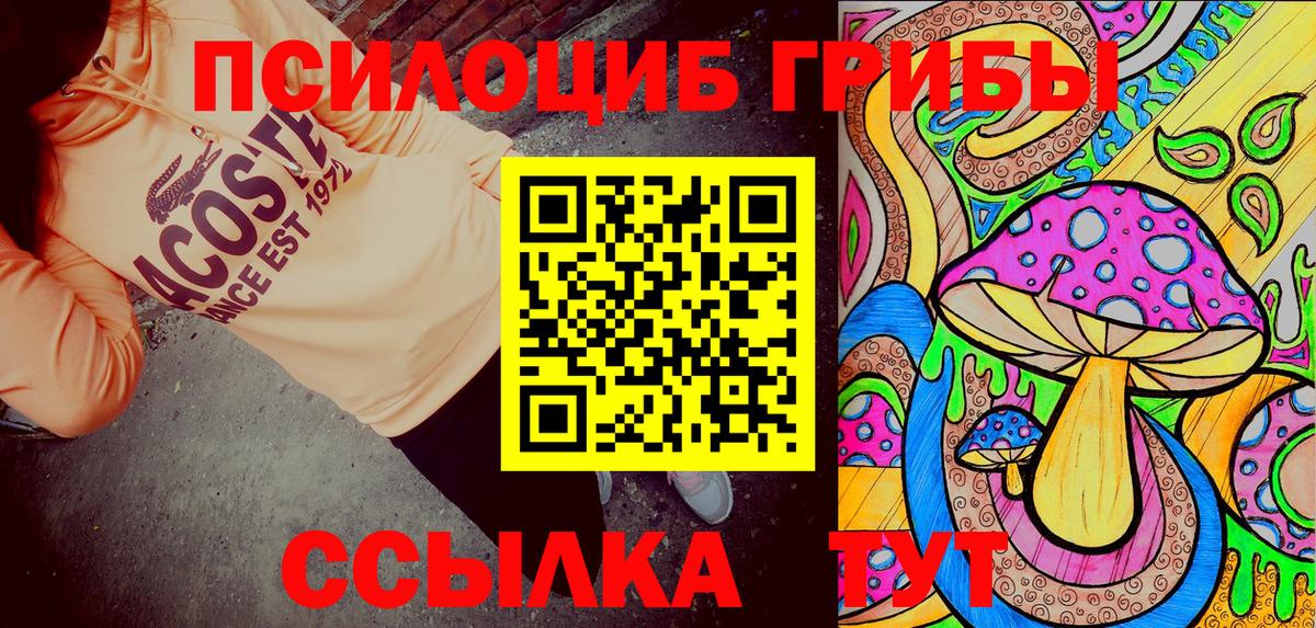 Псилоцибиновые грибы Psilocybe  Белгород  Псилоцибиновые грибы мухоморы 