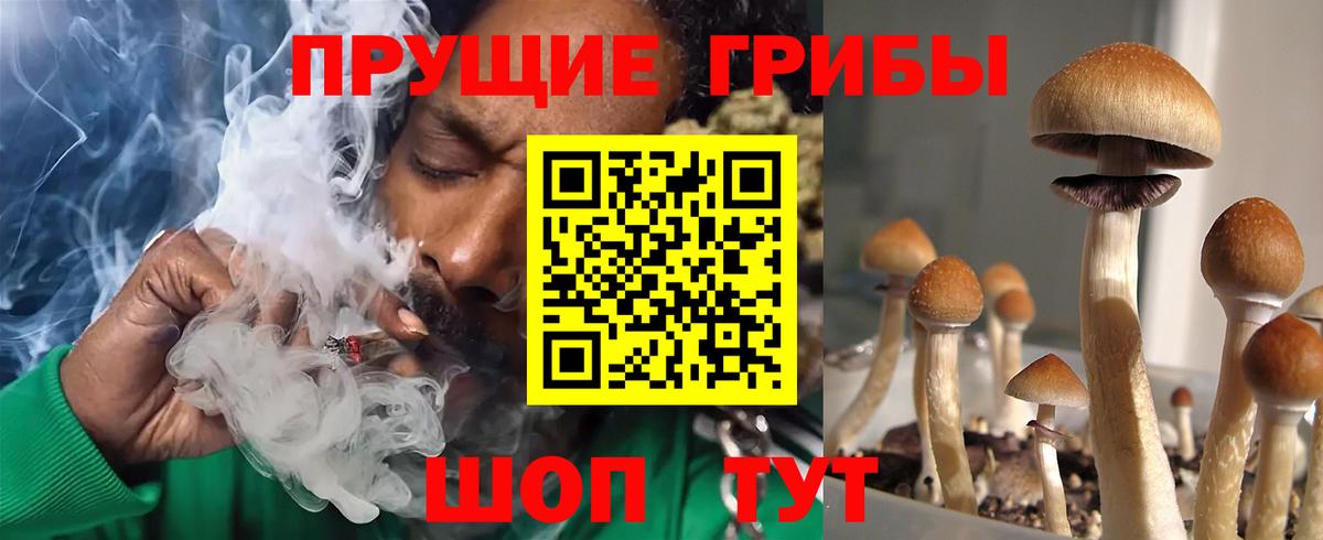 Псилоцибиновые грибы прущие грибы  Вход с VPN  Белгород 